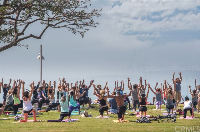 2101 2nd Street, Unit 203 Long Beach, CA 90803 - Photo 20 of 22 Yoga on the Bluff!
