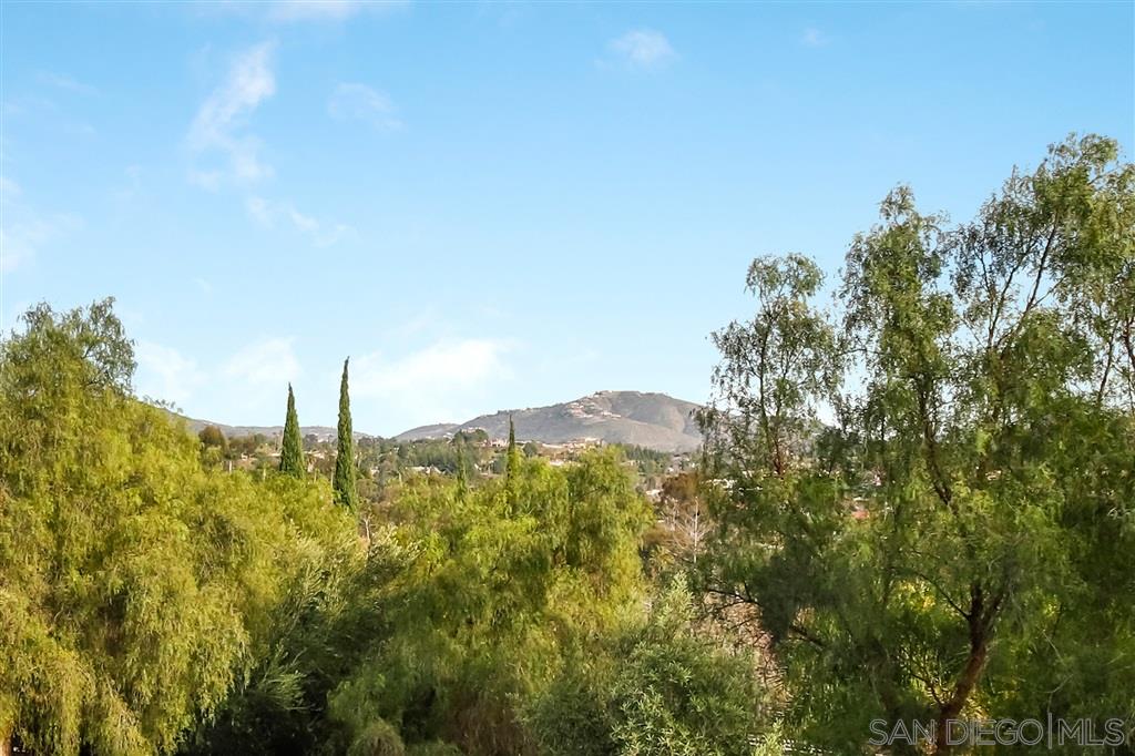 2890 Lone Jack Road Encinitas, CA 92024 - Photo 23 of 25