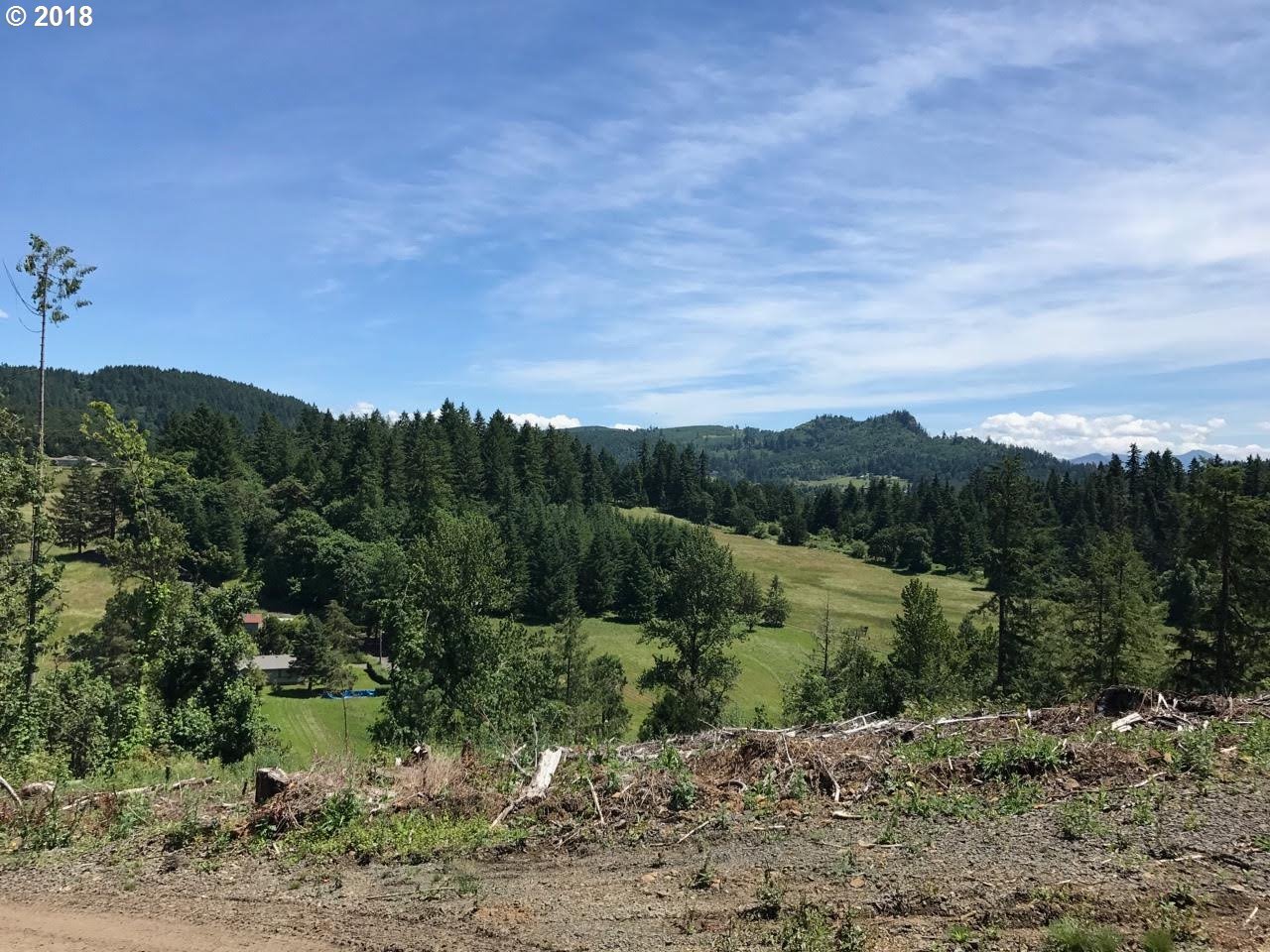Wallace Creek Road, Unit TWO Springfield, OR 97478 - Photo 5 of 5