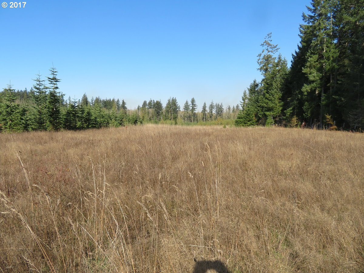 Antrim Road Winlock, WA 98596 - Photo 3 of 32