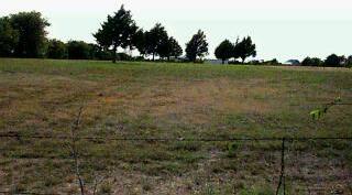 3111 North Walnut Grove Road Midlothian, TX 76065 - Photo 1 of 1