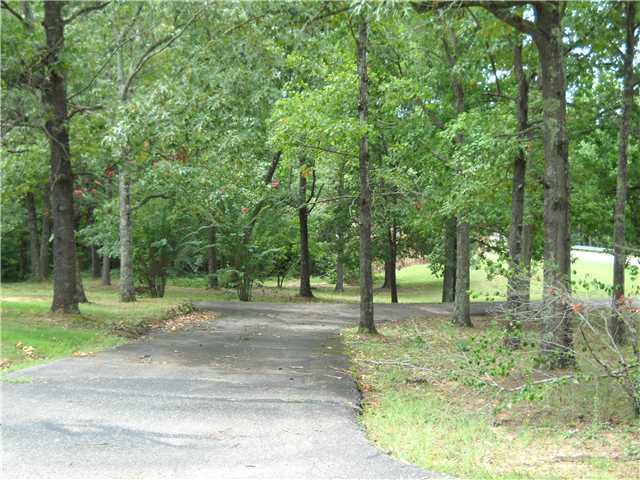 230 Dunaway Road Selmer, TN 38375 - Photo 13 of 14 Driveway