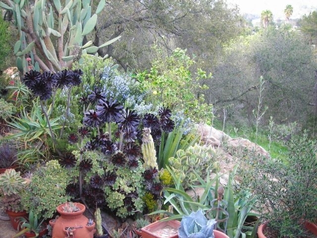1927 Huffstatler Street Fallbrook, CA 92028 - Photo 25 of 25 Gallery Image 25