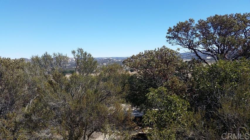 40-acres 40-acres Star Ranch Road Campo, CA 91906 - Photo 3 of 5