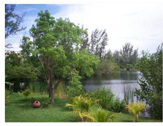 8200 Southwest 210th Street, Unit 320 Cutler Bay, FL 33189 - Photo 25 of 32