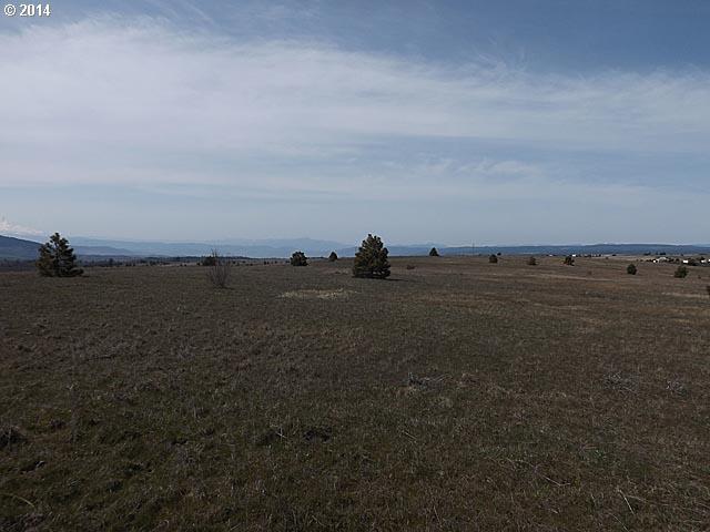 Prairie Rose Lane Lyle, WA 98635 - Photo 8 of 15 Gallery Image 8