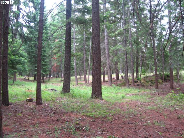 Wood Road Trout Lake, WA 98650 - Photo 1 of 9 Gallery Image 1