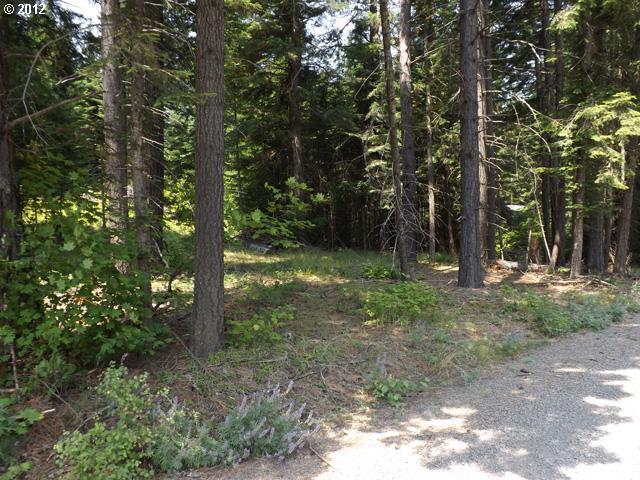 Moore Road White Salmon, WA 98672 - Photo 2 of 12 Gallery Image 2