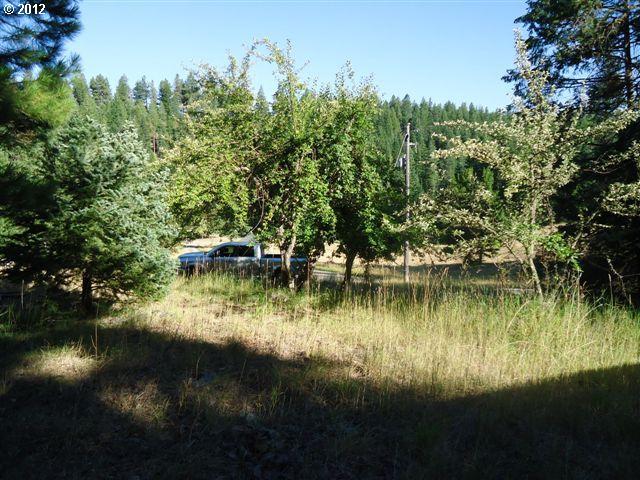 61046 Ski Run Road Joseph, OR 97846 - Photo 4 of 8 Gallery Image 4