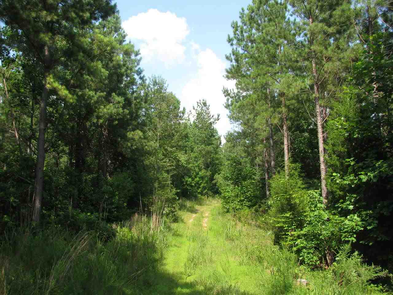 Rockhouse Road Linden, TN 37096 - Photo 10 of 13 Gallery Image 10