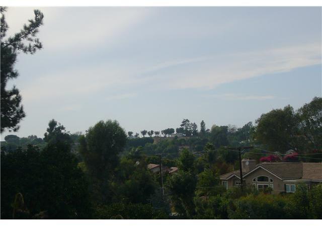 1741 Premier Street Fallbrook, CA 92028 - Photo 13 of 25 Area VIEWS off the rear patio.