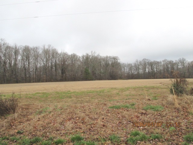 0 South Highway 45 Highway Ramer, TN 38367 - Photo 5 of 6 Gallery Image 5