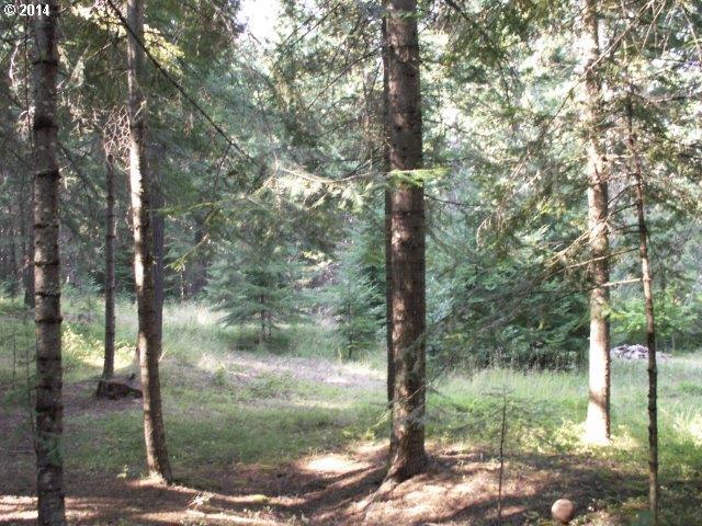 Frontier Road, Unit 3 Appleton, WA 98602 - Photo 4 of 6 Gallery Image 4