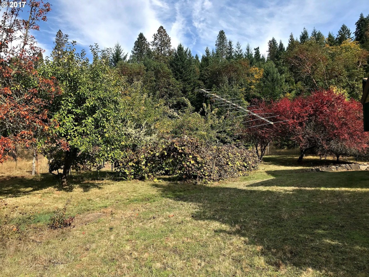 6478 Upper Olalla Road Winston, OR 97496 - Photo 15 of 29