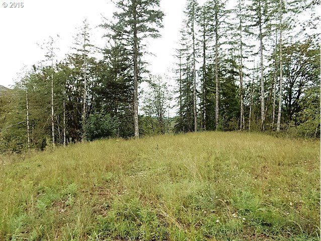 2 Kalama River Road Kalama, WA 98625 - Photo 7 of 10 Gallery Image 7
