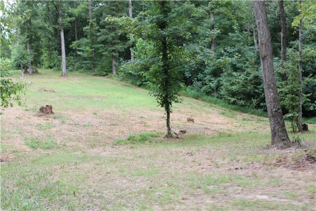 0 Johnny Hall Road Burns, TN 37029 - Photo 15 of 19