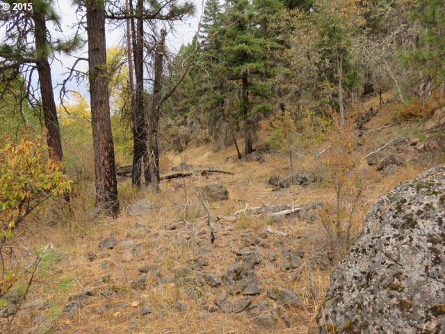 England Drive Goldendale, WA 98620 - Photo 10 of 13