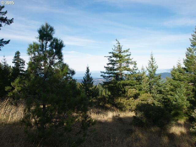 Signal Buttes Gold Beach Gold Beach, OR 97444 - Photo 11 of 16 Gallery Image 11