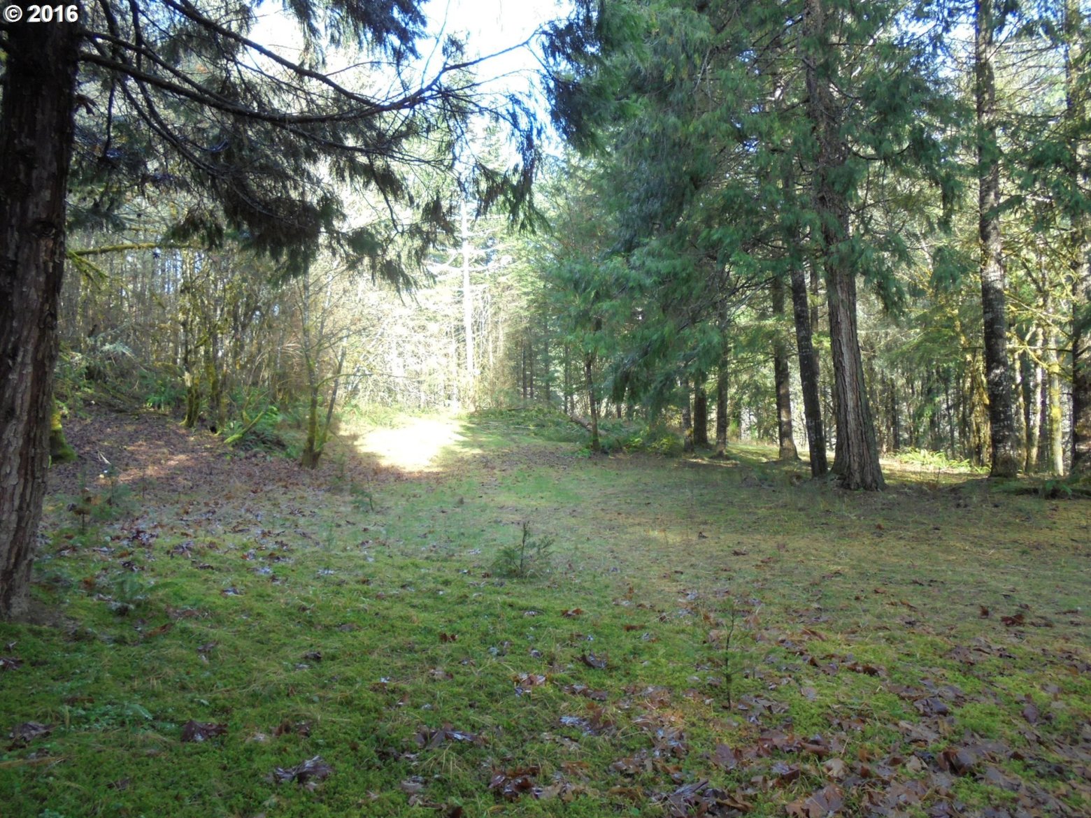 248 Upper Smith River Road, Unit 2 Drain, OR 97435 - Photo 11 of 13 Gallery Image 11