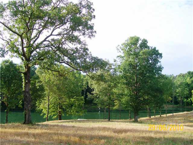 0 Armour Road Somerville, TN 38068 - Photo 11 of 12 Gallery Image 11