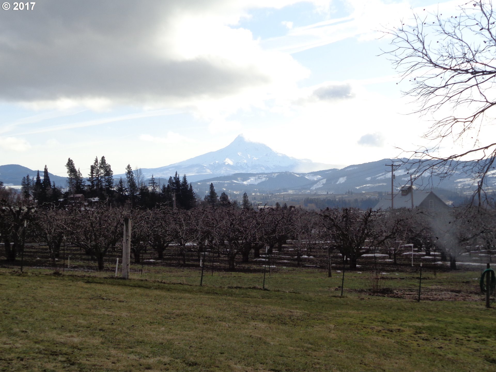 955 Eastside Road Hood River, OR 97031 - Photo 4 of 22