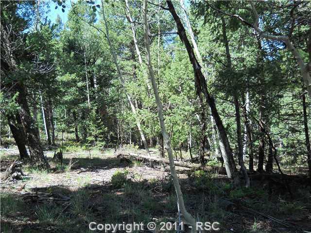 63 Kutsu Ridge Road Florissant, CO 80816 - Photo 1 of 3