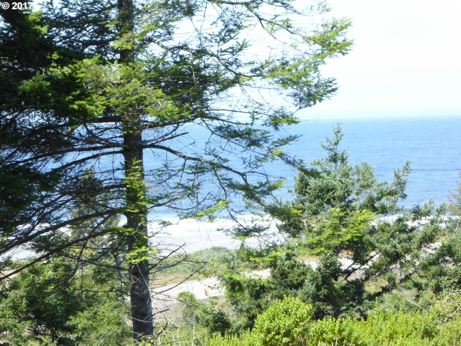 Arizona Ranch Road, Unit 208 Port Orford, OR 97465 - Photo 20 of 23 Gallery Image 20