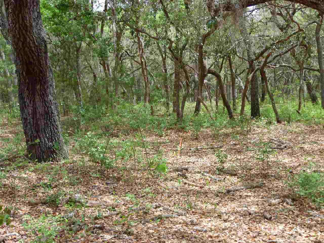 119 Ridge Lake Road Pomona Park, FL 32181 - Photo 5 of 12 Gallery Image 5