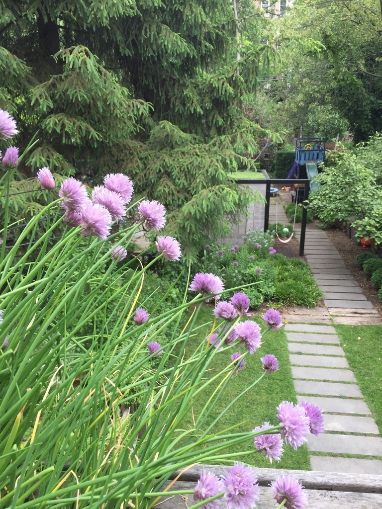 171 Garfield Place Brooklyn, NY 11215 - Photo 12 of 15