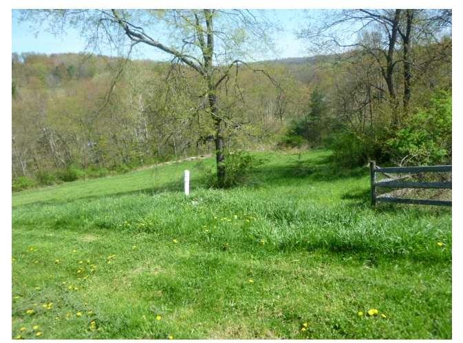 1531 Three Degree Road Mars, PA 16046 - Photo 6 of 7