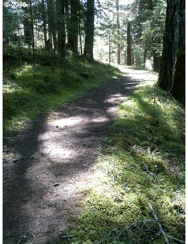 3720 Hogan Road Oakland, OR 97462 - Photo 18 of 20 Gallery Image 18