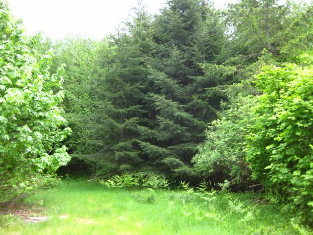 Pumpkin Ridge Rd Plains North Plains, OR 97133 - Photo 1 of 12 Gallery Image 1