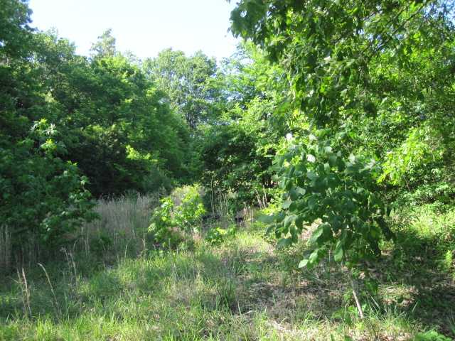 0 Boatner Road Road Potts Camp, MS 38659 - Photo 5 of 12 Gallery Image 5