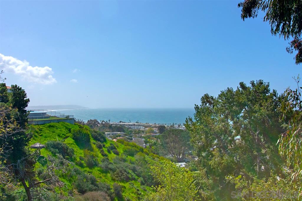807 La Jolla Rancho Road La Jolla, CA 92037 - Photo 25 of 25