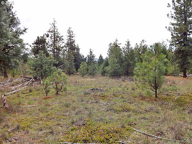 Turkey Run Road Goldendale, WA 98620 - Photo 7 of 12 Gallery Image 7