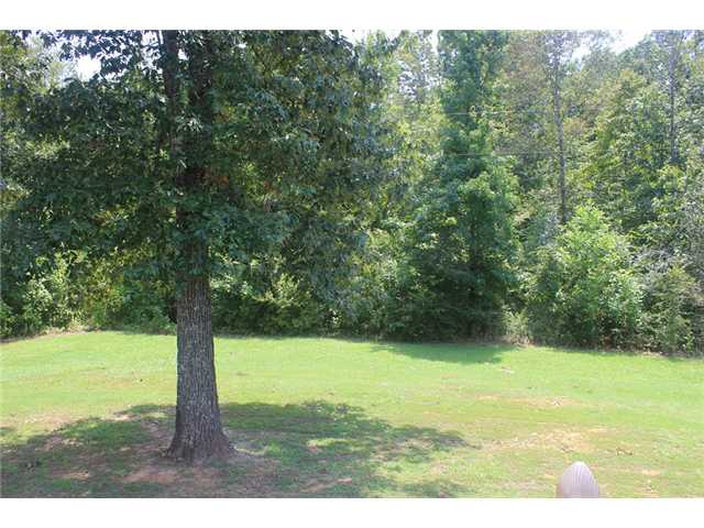 593 Capooth Road Ramer, TN 38367 - Photo 17 of 25 Gallery Image 17