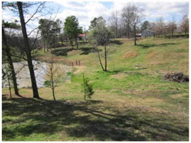 11 McClerkin Road Burlison, TN 38015 - Photo 8 of 8 This is the view from the side deck!