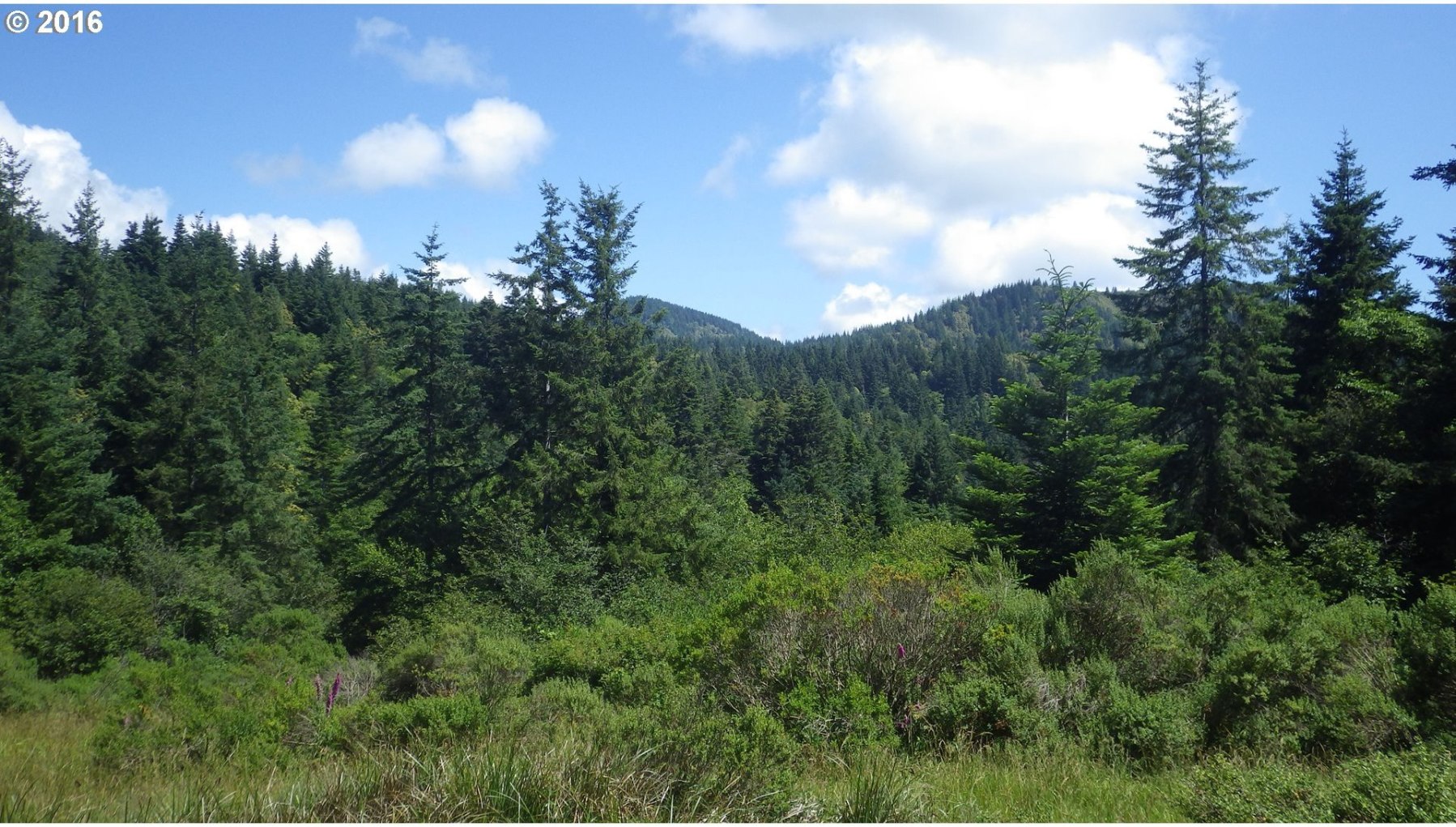 Grizzly Mountain Road, Unit 3B Gold Beach, OR 97444 - Photo 23 of 24 Gallery Image 23