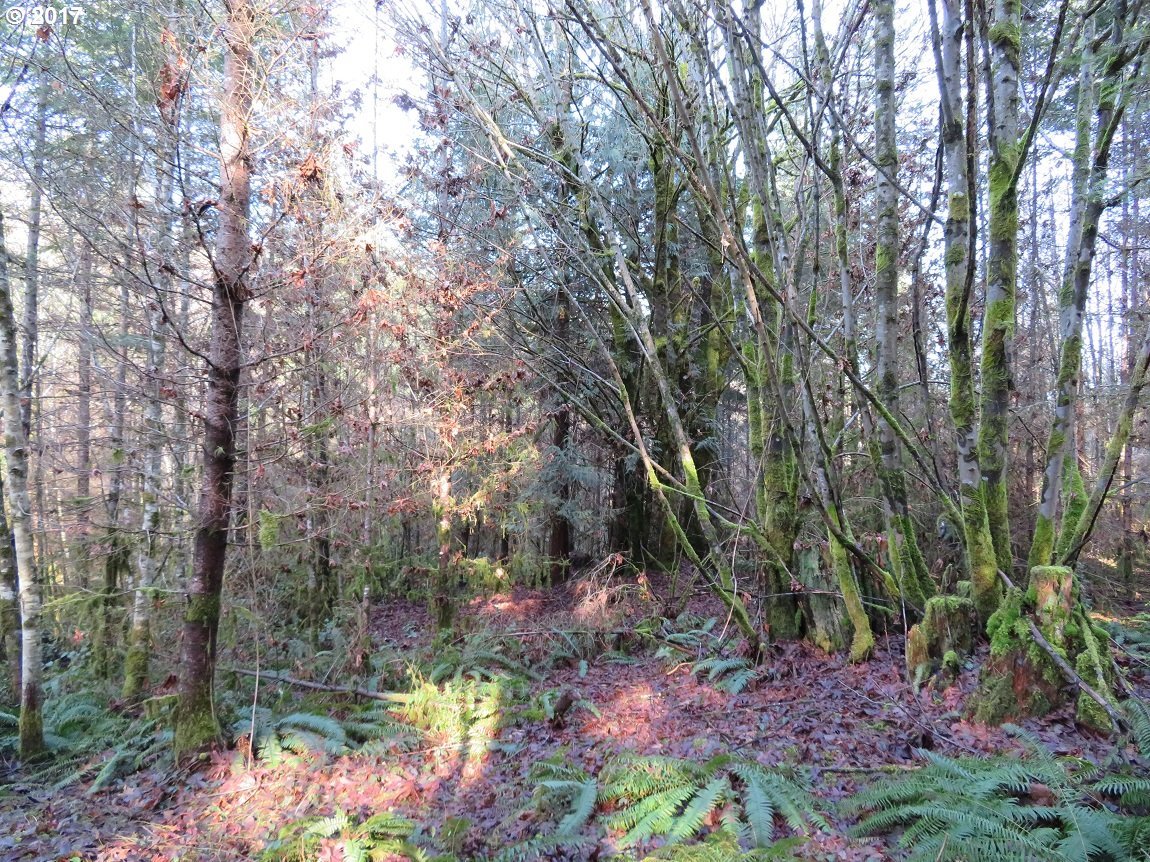 Cousins Road, Unit 1 Chehalis, WA 98532 - Photo 28 of 32