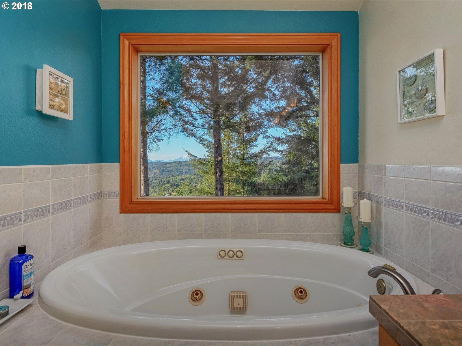7900 Northeast 298th Court Camas, WA 98607 - Photo 22 of 32