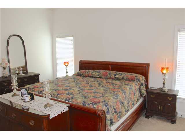 4372 High Plains Road Bartlett, TN 38135 - Photo 12 of 25 Downstairs master bedroom features neutral colors, vaulted ceiling, carpet, and a private luxury bathroom.