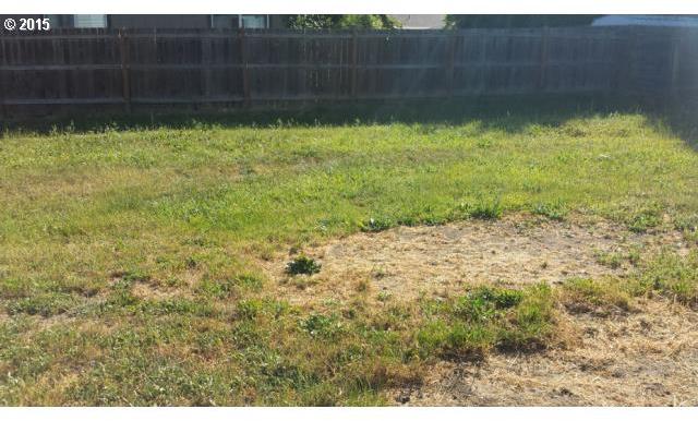 468 East 3rd Avenue Riddle, OR 97469 - Photo 5 of 14
