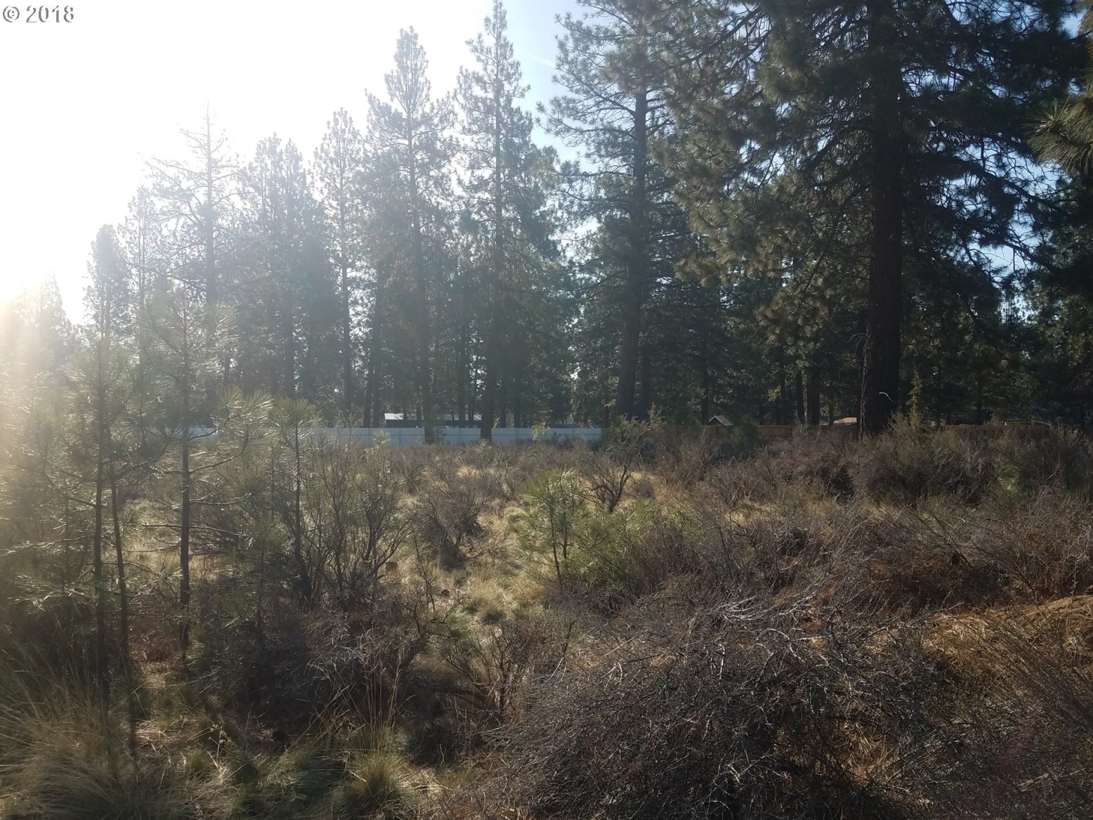 60294 Cinder Butte Road Bend, OR 97702 - Photo 3 of 4