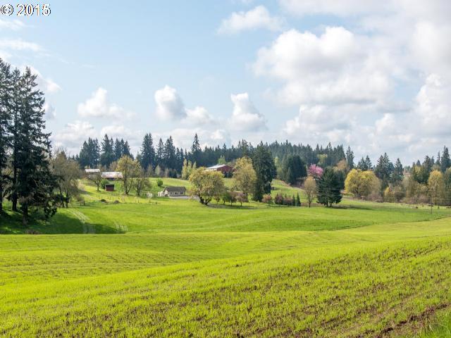 21240 Boones Ferry Road Northeast Aurora, OR 97002 - Photo 9 of 16 Gallery Image 9