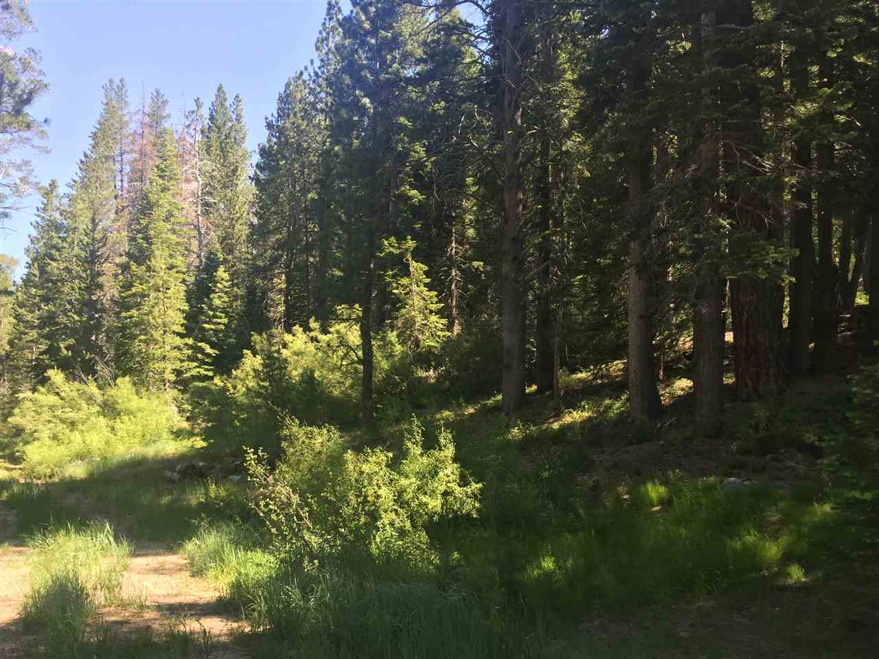 6900 River Road Truckee, CA 96161 - Photo 6 of 17