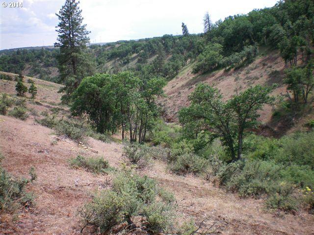 105 High Valley Road Goldendale, WA 98620 - Photo 4 of 16 Gallery Image 4