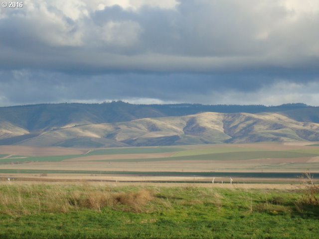 54211 County 552 Road Milton Freewater, OR 97862 - Photo 11 of 23 Gallery Image 11