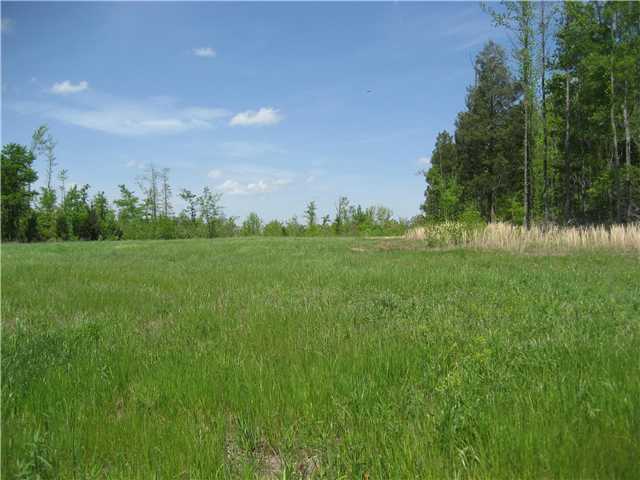 0 Pickens Road Adamsville, TN 38310 - Photo 6 of 10 Gallery Image 6