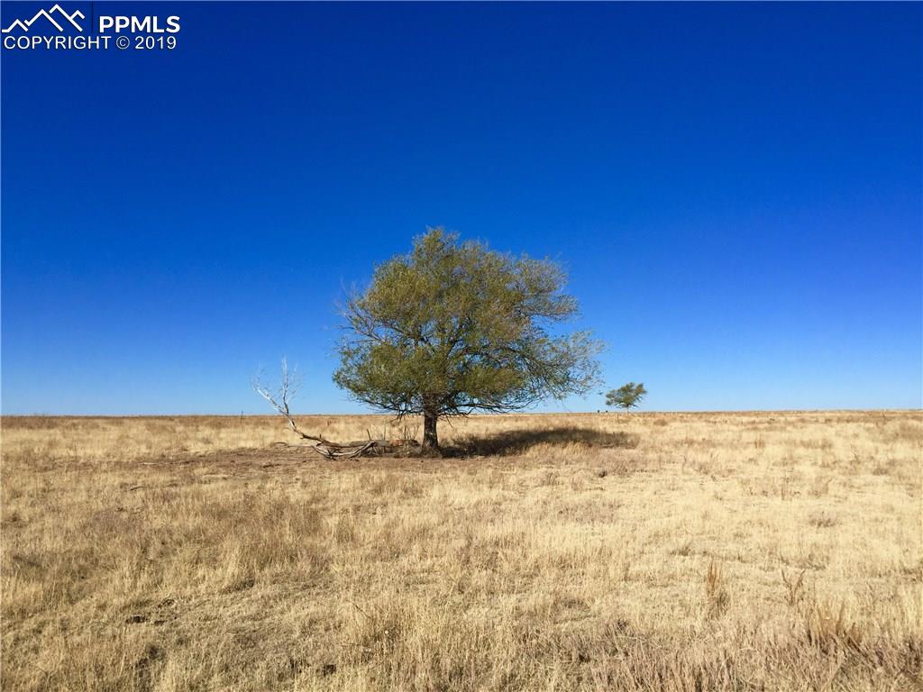 41250 Big Springs Road Rush, CO 80833 - Photo 1 of 16