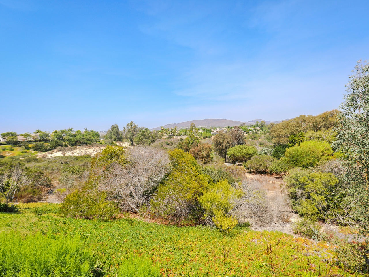 3472 Corte Clarita Carlsbad, CA 92009 - Photo 21 of 24